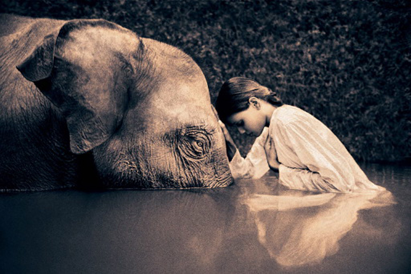 elephant girl dyad original bigger